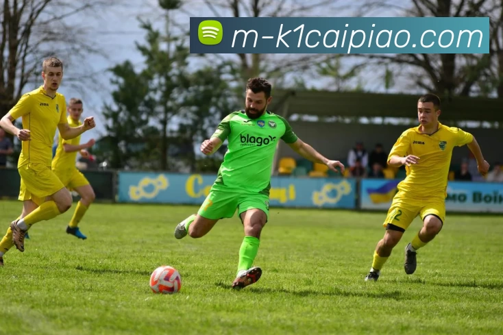 刘铮的奋斗历程与成就探索：从平凡到卓越的启示与思考